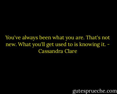 You've always been what you are. That's not new. What you'll get used to is knowing it. - Cassandra Clare
