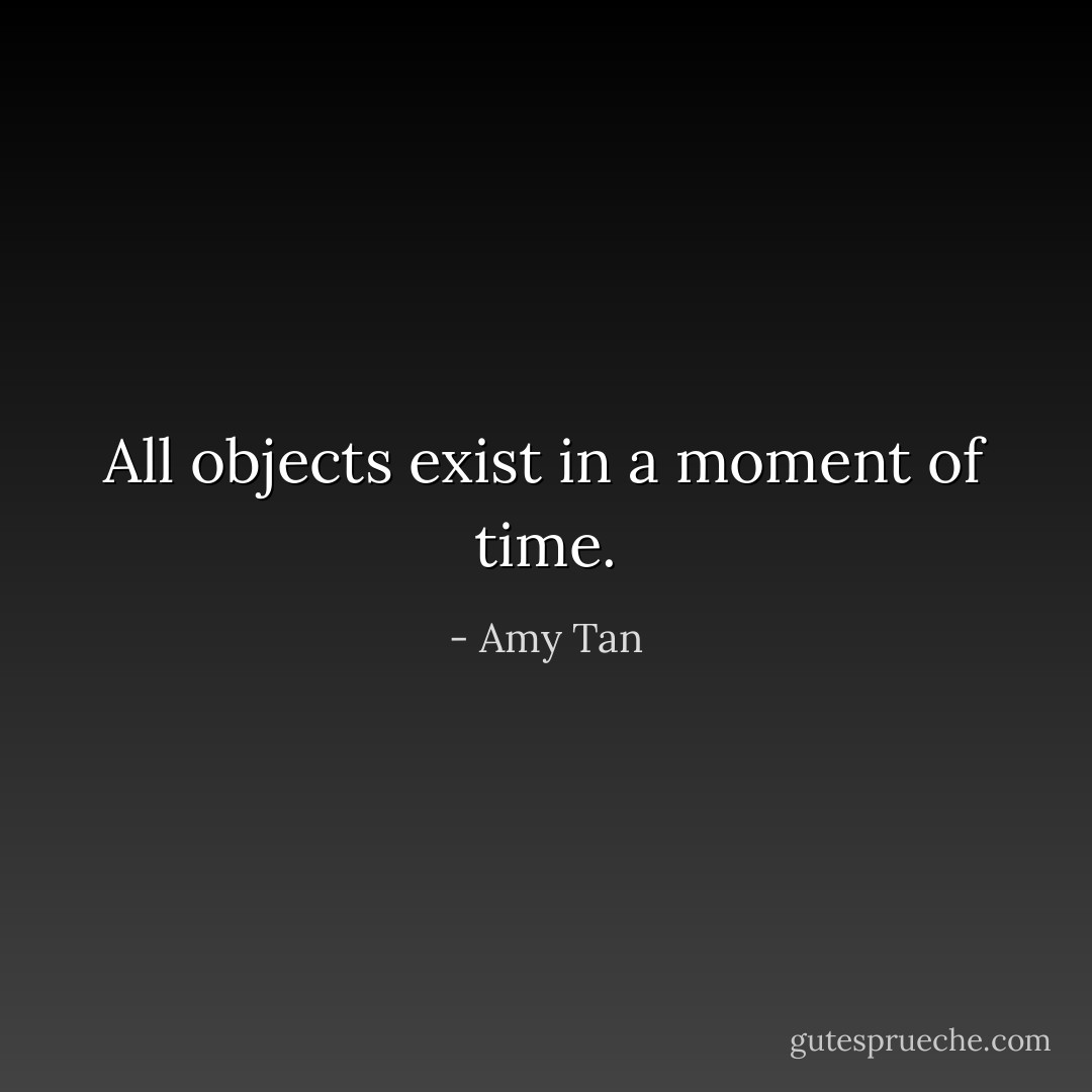 All objects exist in a moment of time. - Amy Tan