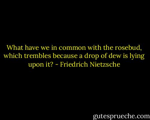 What have we in common with the rosebud, which trembles because a drop of dew is lying upon it? - Friedrich Nietzsche