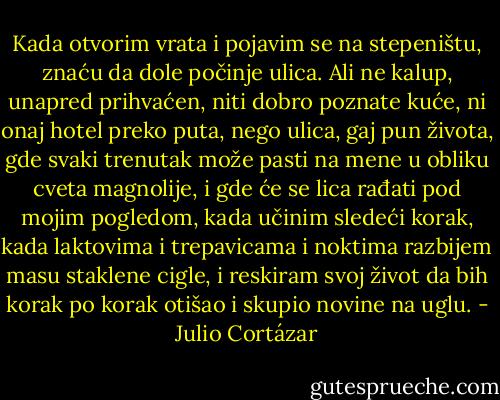 Kada otvorim vrata i pojavim se na stepeništu, znaću da dole počinje ulica. Ali ne kalup, unapred prihvaćen, niti dobro poznate kuće, ni onaj hotel preko puta, nego ulica, gaj pun života, gde svaki trenutak može pasti na mene u obliku cveta magnolije, i gde će se lica rađati pod mojim pogledom, kada učinim sledeći korak, kada laktovima i trepavicama i noktima razbijem masu staklene cigle, i reskiram svoj život da bih korak po korak otišao i skupio novine na uglu. - Julio Cortázar
