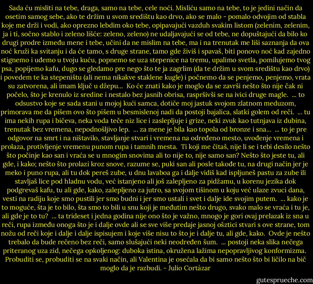 Sada ću misliti na tebe, draga, samo na tebe, cele noći. Misliću samo na tebe, to je jedini način da osetim samog sebe, ako te držim u svom središtu kao drvo, ako se malo - pomalo odvojim od stabla koje me drži i vodi, ako oprezno lebdim oko tebe, opipavajući vazduh svakim listom (zelenim, zelenim, ja i ti, sočno stablo i zeleno lišće: zeleno, zeleno) ne udaljavajući se od tebe, ne dopuštajući da bilo ko drugi prodre između mene i tebe, učini da ne mislim na tebe, ma i na trenutak me liši saznanja da ova noć kruži ka svitanju i da će tamo, s druge strane, tamo gde živiš i spavaš, biti ponovo noć kad zajedno stignemo i uđemo u tvoju kuću, popnemo se uza stepenice na tremu, upalimo svetla, pomilujemo tvog psa, popijemo kafu, dugo se gledamo pre nego što te ja zagrlim (da te držim u svom središtu kao drvo) i povedem te ka stepeništu (ali nema nikakve staklene kugle) i počnemo da se penjemo, penjemo, vrata su zatvorena, ali imam ključ u džepu...<br /><br />Ko će znati kako je moglo da se završi nešto što nije čak ni počelo, što je krenulo iz sredine i nestalo bez jasnih obrisa, raspršivši se na ivici druge magle.<br /><br />... to odsustvo koje se sada stani u mojoj kući samca, dotiče moj jastuk svojom zlatnom meduzom, primorava me da pišem ovo što pišem u besmislenoj nadi da postoji bajalica, slatki golem od reči.<br /><br />... tu ima nekih rupa i bičeva, neka voda teče niz lice i zaslepljuje i grize, neki zvuk kao tutnjava iz dubina, trenutak bez vremena, nepodnošljivo lep.<br /><br />... za mene je bila kao topola od bronze i sna...<br /><br />... to je pre odgovor na smrt i na ništavilo, stavljanje stvari i vremena na određeno mesto, uvođenje vremena i prolaza, protivljenje vremenu punom rupa i tamnih mesta.<br /><br />Ti koji me čitaš, nije li se i tebi desilo nešto što počinje kao san i vraća se u mnogim snovima ali to nije to, nije samo san? Nešto što jeste tu, ali gde, i kako; nešto što prolazi kroz snove, razume se, puki san ali posle takođe tu, na drugi način jer je meko i puno rupa, ali tu dok pereš zube, u dnu lavaboa ga i dalje vidiš kad ispljuneš pastu za zube ili stavljaš lice pod hladnu vodu, već istanjeno ali još zalepljeno za pidžamu, u korenu jezika dok podgrevaš kafu, tu ali gde, kako, zalepljeno za jutro, sa svojom tišinom u koju već ulaze zvuci dana, vesti na radiju koje smo pustili jer smo budni i jer smo ustali i svet i dalje ide svojim putem.<br /><br />... kako je to moguće, šta je to bilo, šta smo to bili u snu koji je međutim nešto drugo, svako malo se vraća i tu je, ali gde je to tu?<br /><br />... ta trideset i jedna godina nije ono što je važno, mnogo je gori ovaj prelazak iz sna u reči, rupa između onoga što je i dalje ovde ali se sve više predaje jasnoj ošztici stvari s ove strane, tom nožu od reči koje i dalje i dalje ispisujem i koje više nisu to što je i dalje tu, ali gde, kako.<br /><br />Ovde je nešto trebalo da bude rečeno bez reči, samo slušajući neki neodređen šum.<br /><br />... postoji neka slika nečega priteranog uza zid, nečega opkoljenog: duboka istina, okružena lažima nepopravljivog konformizma.<br /><br />Probuditi se, probuditi se na svaki način, ali Valentina je osećala da bi samo nešto što bi ličilo na bič moglo da je razbudi. - Julio Cortázar