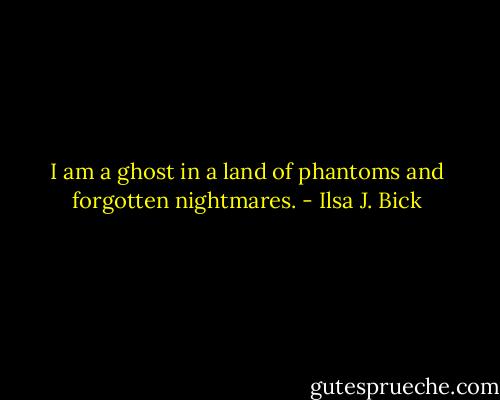 I am a ghost in a land of phantoms and forgotten nightmares. - Ilsa J. Bick