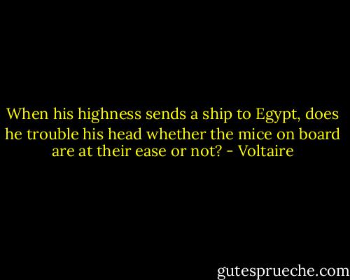 When his highness sends a ship to Egypt, does he trouble his head whether the mice on board are at their ease or not? - Voltaire