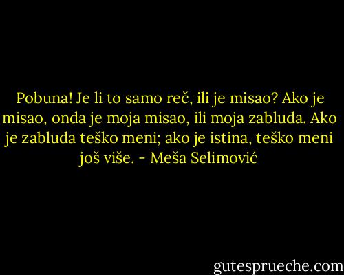 Pobuna! Je li to samo reč, ili je misao? Ako je misao, onda je moja misao, ili moja zabluda. Ako je zabluda teško meni; ako je istina, teško meni još više. - Meša Selimović