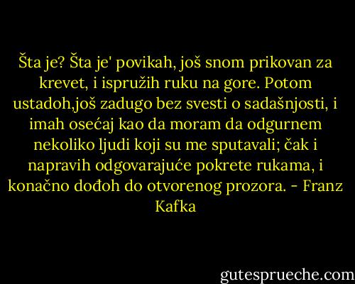 Šta je? Šta je' povikah, još snom prikovan za krevet, i ispružih ruku na gore. Potom ustadoh,još zadugo bez svesti o sadašnjosti, i imah osećaj kao da moram da odgurnem nekoliko ljudi koji su me sputavali; čak i napravih odgovarajuće pokrete rukama, i konačno dođoh do otvorenog prozora. - Franz Kafka