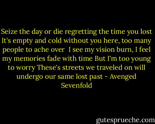 Seize the day or die regretting the time you lost<br />It's empty and cold without you here, too many people to ache over<br /><br />I see my vision burn, I feel my memories fade with time<br />But I'm too young to worry<br />These's streets we traveled on will undergo our same lost past - Avenged Sevenfold