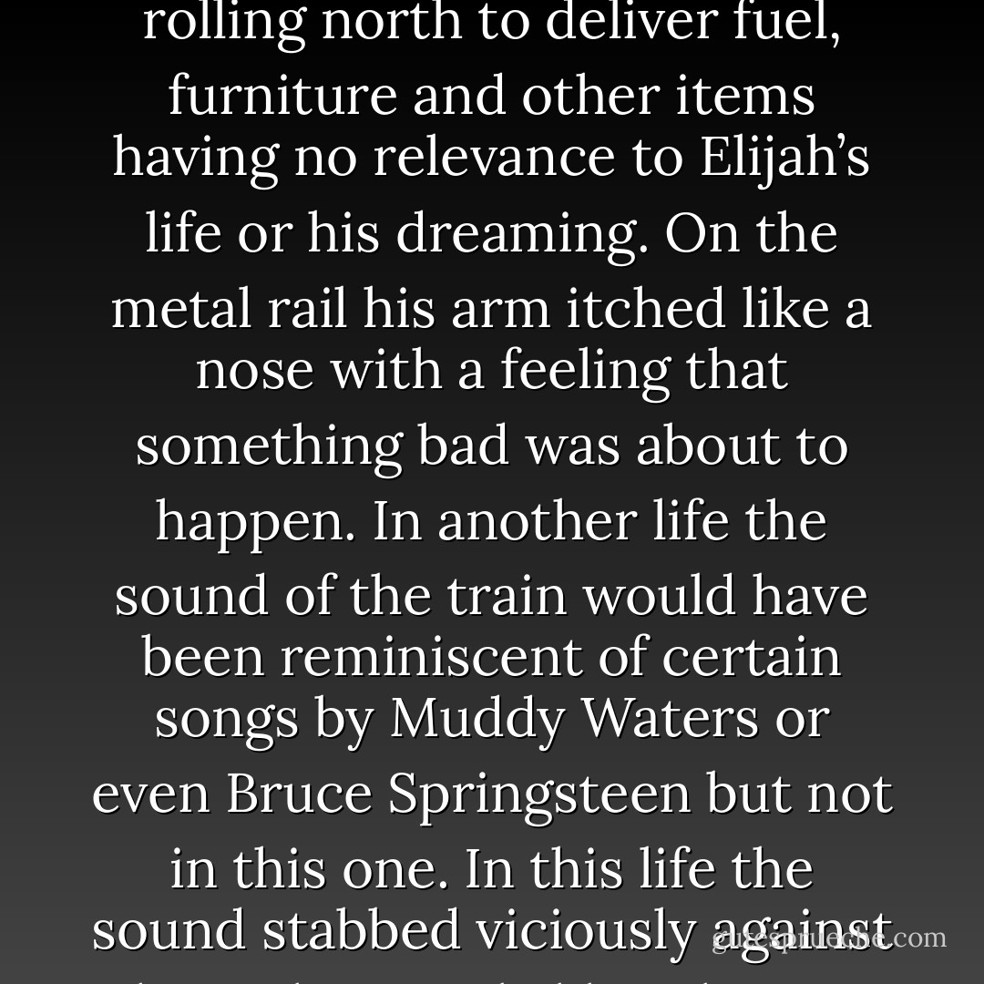 The vibrations he felt in his sleep had nothing to do with his soul easing out of his body as he dreamily thought; they came solely from the weight and motion of the freight train rolling north to deliver fuel, furniture and other items having no relevance to Elijah’s life or his dreaming. On the metal rail his arm itched like a nose with a feeling that something bad was about to happen. In another life the sound of the train would have been reminiscent of certain songs by Muddy Waters or even Bruce Springsteen but not in this one. In this life the sound stabbed viciously against the night exactly like a human being demonstrating flawless disrespect for the life of another human being.<br />--from short story ELIJAH’S SKIN - Aberjhani