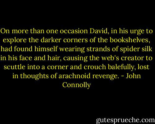 On more than one occasion David, in his urge to explore the darker corners of the bookshelves, had found himself wearing strands of spider silk in his face and hair, causing the web's creator to scuttle into a corner and crouch balefully, lost in thoughts of arachnoid revenge. - John Connolly