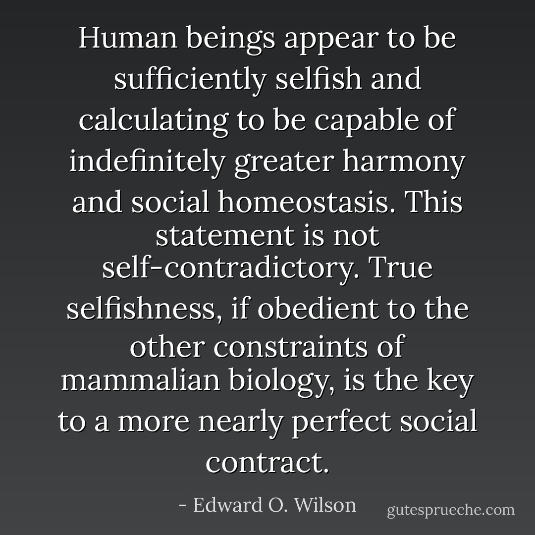 Human beings appear to be sufficiently selfish and calculating to be capable of indefinitely greater harmony and social homeostasis. This statement is not self-contradictory. True selfishness, if obedient to the other constraints of mammalian biology, is the key to a more nearly perfect social contract. - Edward O. Wilson