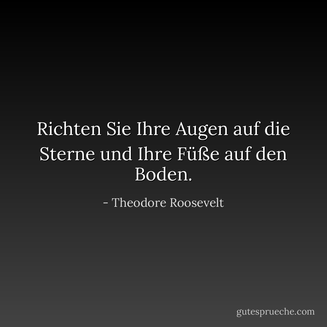 Richten Sie Ihre Augen auf die Sterne und Ihre Füße auf den Boden. - Theodore Roosevelt<