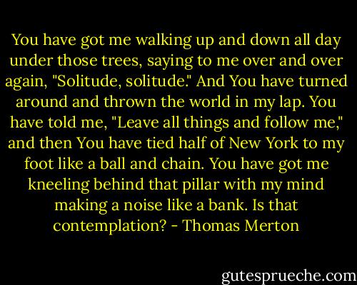 You have got me walking up and down all day under those trees, saying to me over and over again, "Solitude, solitude." And You have turned around and thrown the world in my lap. You have told me, "Leave all things and follow me," and then You have tied half of New York to my foot like a ball and chain. You have got me kneeling behind that pillar with my mind making a noise like a bank. Is that contemplation? - Thomas Merton