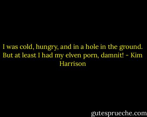 I was cold, hungry, and in a hole in the ground. But at least I had my elven porn, damnit! - Kim Harrison