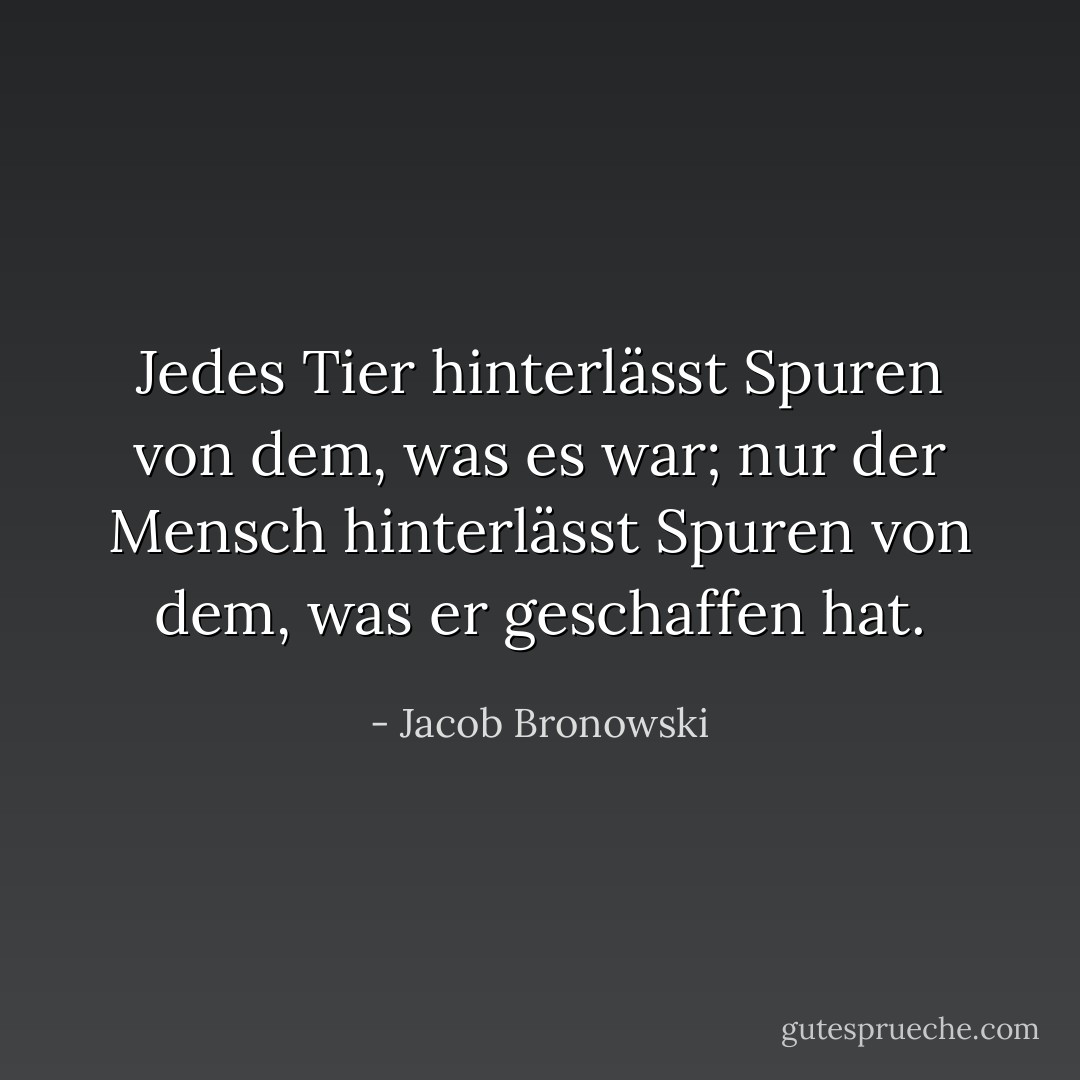 Jedes Tier hinterlässt Spuren von dem, was es war; nur der Mensch hinterlässt Spuren von dem, was er geschaffen hat. - Jacob Bronowski<