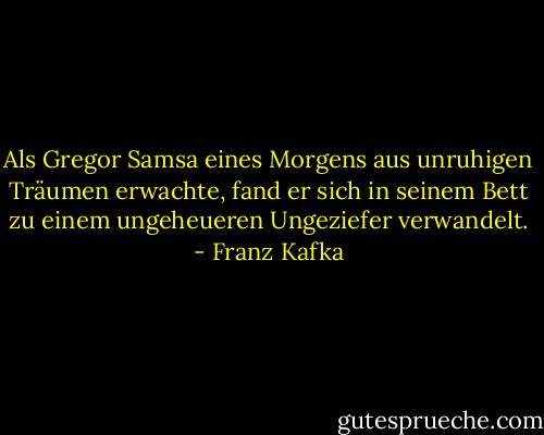 Als Gregor Samsa eines Morgens aus unruhigen Träumen erwachte, fand er sich in seinem Bett zu einem ungeheueren Ungeziefer verwandelt. - Franz Kafka