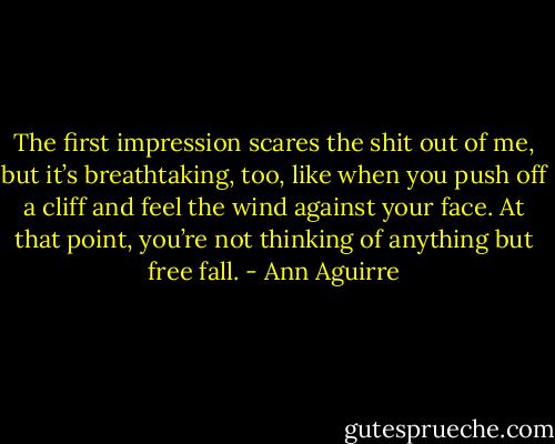 The first impression scares the shit out of me, but it’s breathtaking, too, like when you push off a cliff and feel the wind against your face. At that point, you’re not thinking of anything but free fall. - Ann Aguirre