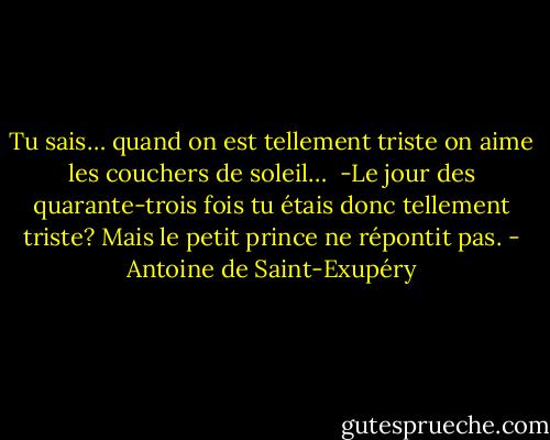 Tu sais… quand on est tellement triste on aime les couchers de soleil…<br /><br />-Le jour des quarante-trois fois tu étais donc tellement triste? Mais le petit prince ne répontit pas. - Antoine de Saint-Exupéry