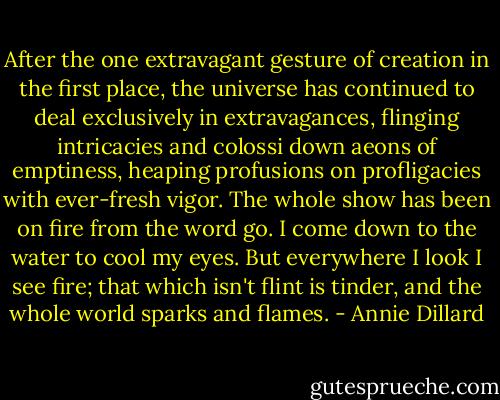 After the one extravagant gesture of creation in the first place, the universe has continued to deal exclusively in extravagances, flinging intricacies and colossi down aeons of emptiness, heaping profusions on profligacies with ever-fresh vigor. The whole show has been on fire from the word go. I come down to the water to cool my eyes. But everywhere I look I see fire; that which isn't flint is tinder, and the whole world sparks and flames. - Annie Dillard
