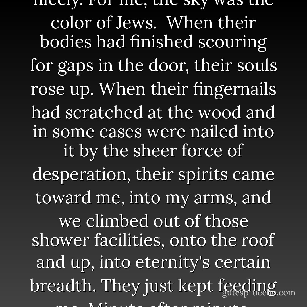 Summer came.<br />For the book thief, everything was going nicely.<br />For me, the sky was the color of Jews.<br /><br />When their bodies had finished scouring for gaps in the door, their souls rose up. When their fingernails had scratched at the wood and in some cases were nailed into it by the sheer force of desperation, their spirits came toward me, into my arms, and we climbed out of those shower facilities, onto the roof and up, into eternity's certain breadth. They just kept feeding me. Minute after minute. Shower after shower. - Markus Zusak