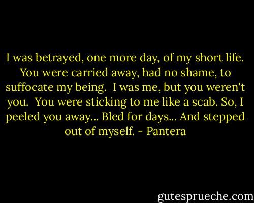 I was betrayed, one more day, of my short life.<br />You were carried away, had no shame, to suffocate my being.<br /><br />I was me, but you weren't you. <br />You were sticking to me like a scab.<br />So, I peeled you away...<br />Bled for days...<br />And stepped out of myself. - Pantera