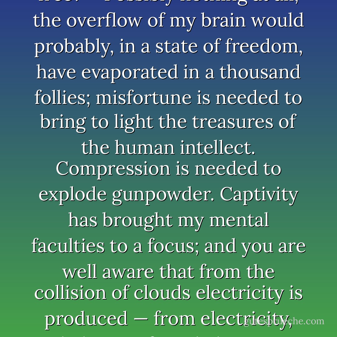 What would you not have accomplished if you had been free?"<br /><br />"Possibly nothing at all; the overflow of my brain would probably, in a state of freedom, have evaporated in a thousand follies; misfortune is needed to bring to light the treasures of the human intellect. Compression is needed to explode gunpowder. Captivity has brought my mental faculties to a focus; and you are well aware that from the collision of clouds electricity is produced — from electricity, lightning, from lightning, illumination. - Alexandre Dumas
