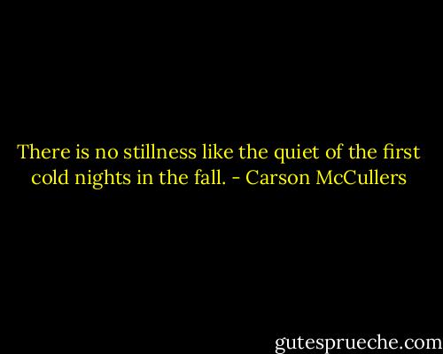 There is no stillness like the quiet of the first cold nights in the fall. - Carson McCullers
