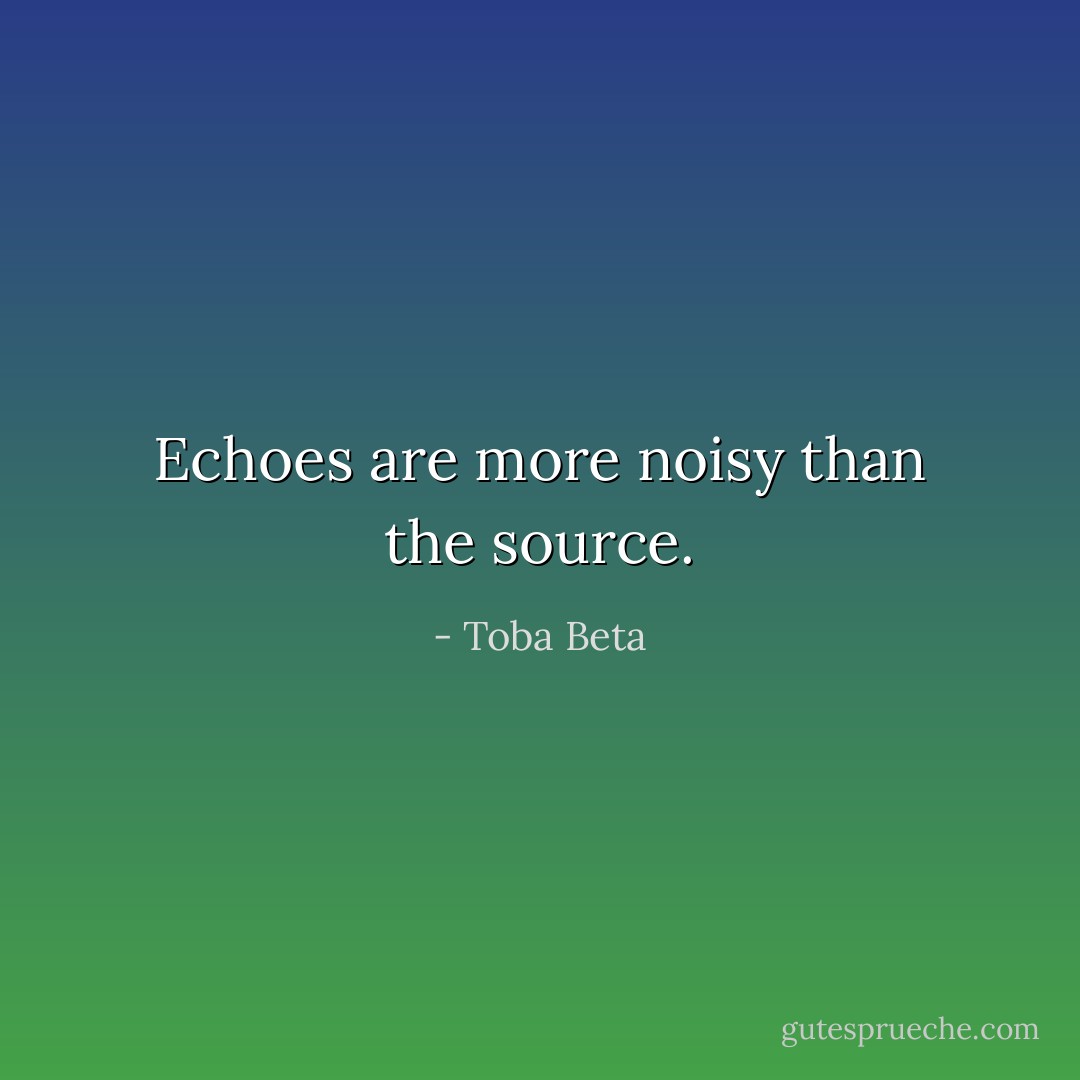 Echoes are more noisy than the source. - Toba Beta