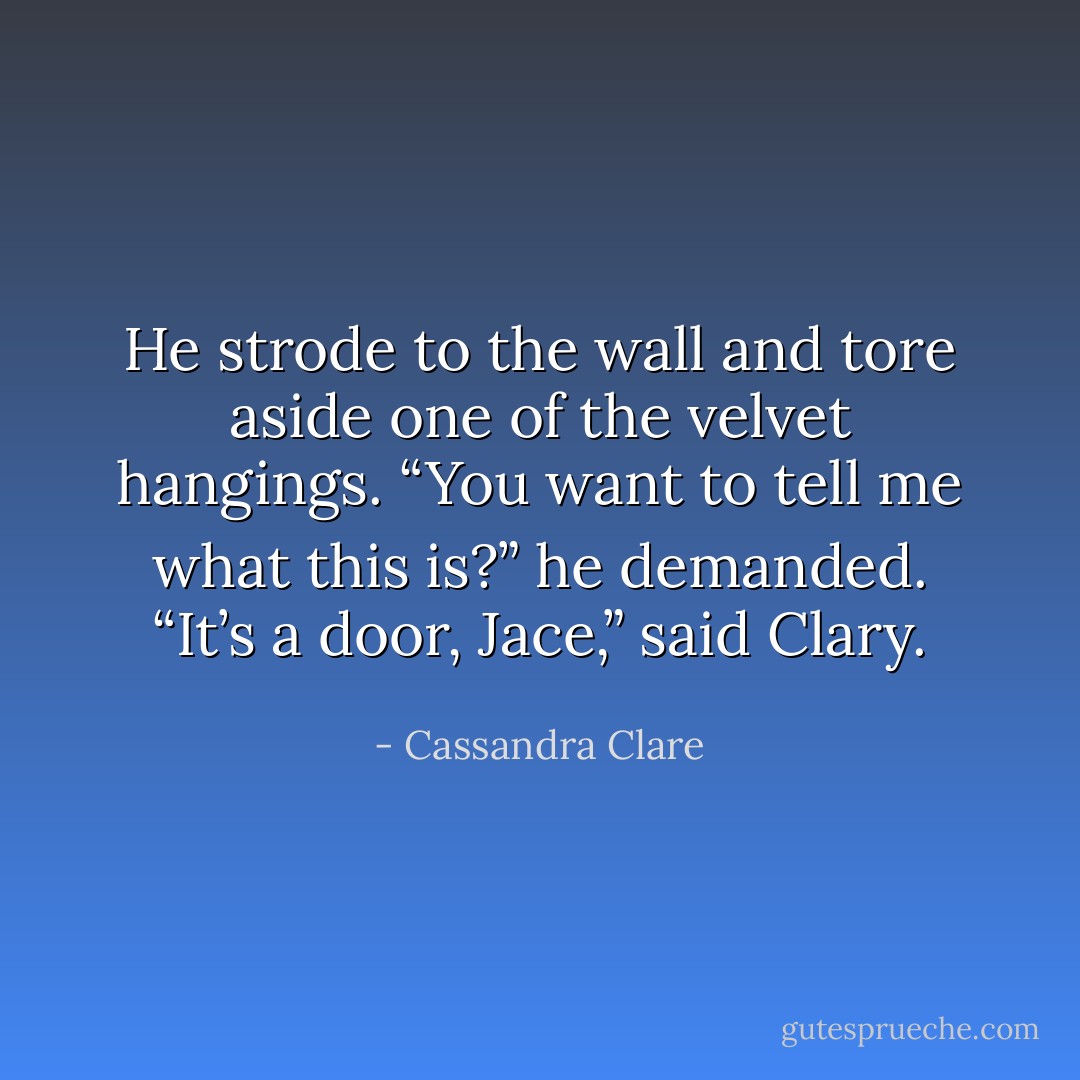 He strode to the wall and tore aside one of the velvet hangings. “You want to tell me what this is?” he demanded.<br />“It’s a door, Jace,” said Clary. - Cassandra Clare