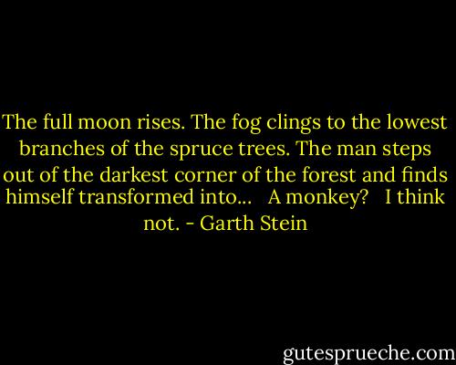 The full moon rises. The fog clings to the lowest branches of the spruce trees. The man steps out of the darkest corner of the forest and finds himself transformed into...<br /><br /> A monkey?<br /><br /> I think not. - Garth Stein
