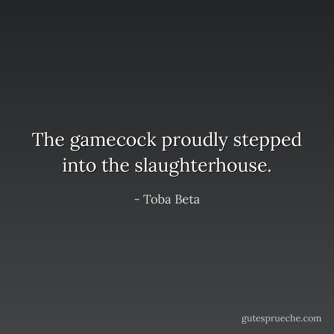 The gamecock proudly stepped into the slaughterhouse. - Toba Beta