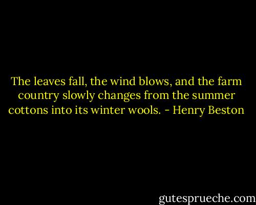 The leaves fall, the wind blows, and the farm country slowly changes from the summer cottons into its winter wools. - Henry Beston