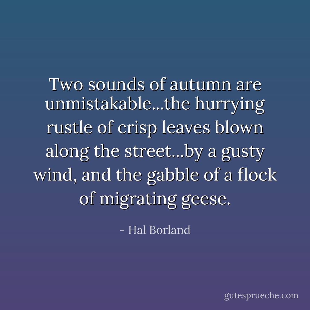 Two sounds of autumn are unmistakable...the hurrying rustle of crisp leaves blown along the street...by a gusty wind, and the gabble of a flock of migrating geese. - Hal Borland
