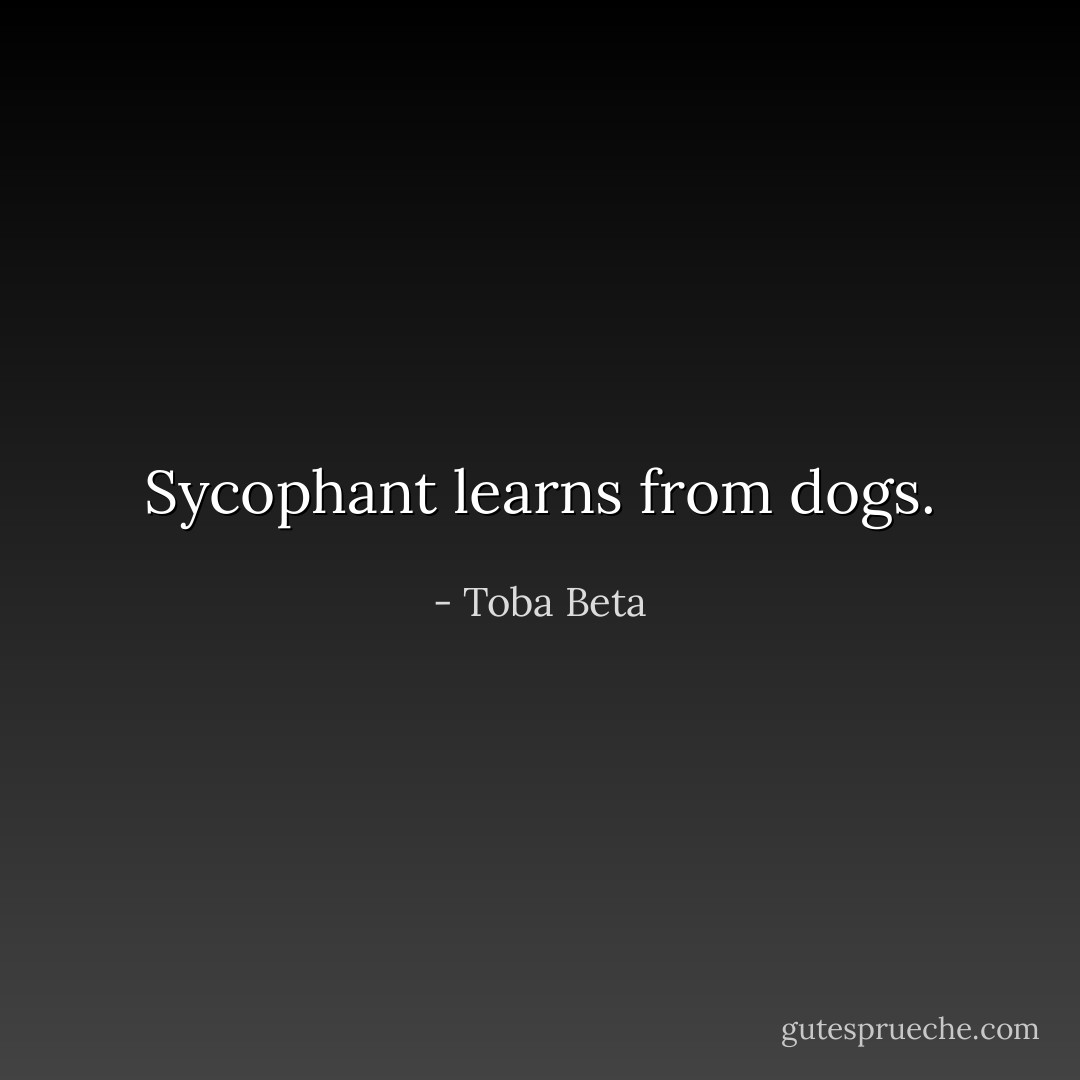 Sycophant learns from dogs. - Toba Beta