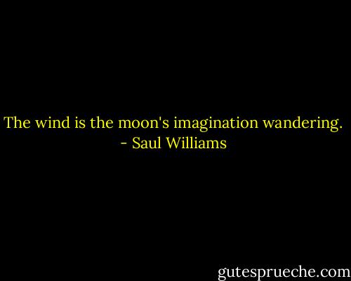 The wind is the moon's imagination wandering. - Saul Williams