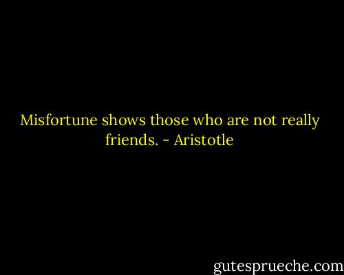 Misfortune shows those who are not really friends. - Aristotle