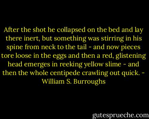 After the shot he collapsed on the bed and lay there inert, but something was stirring in his spine from neck to the tail - and now pieces tore loose in the eggs and then a red, glistening head emerges in reeking yellow slime - and then the whole centipede crawling out quick. - William S. Burroughs