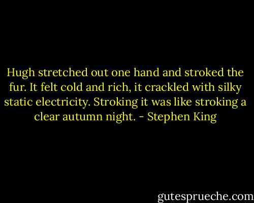 Hugh stretched out one hand and stroked the fur. It felt cold and rich, it crackled with silky static electricity. Stroking it was like stroking a clear autumn night. - Stephen King