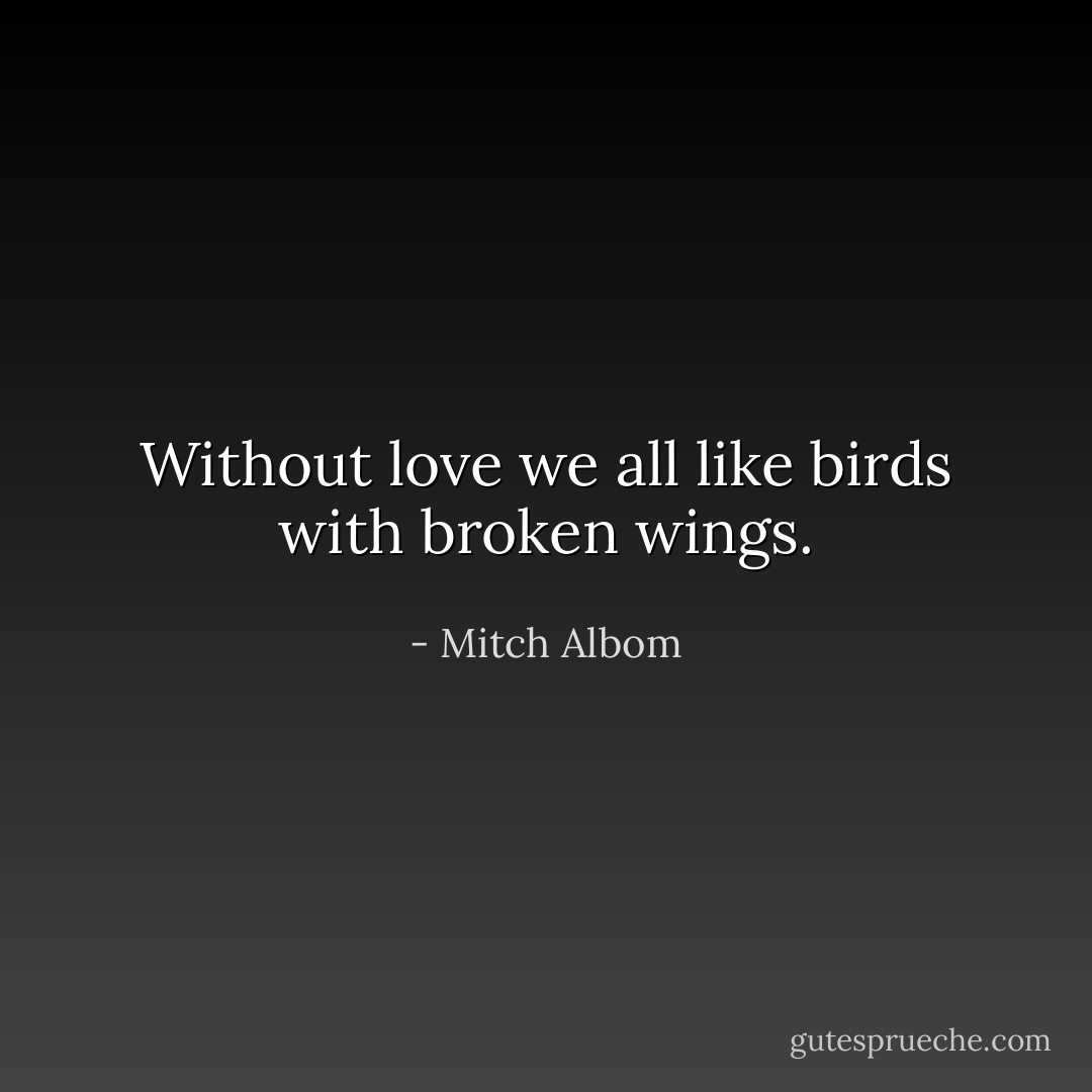 Without love we all like birds with broken wings. - Mitch Albom