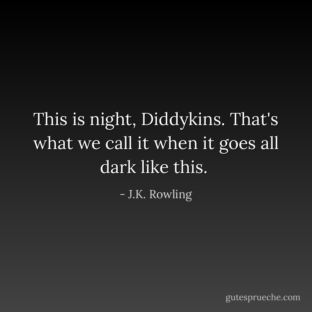 This is night, Diddykins. That's what we call it when it goes all dark like this.  - J.K. Rowling