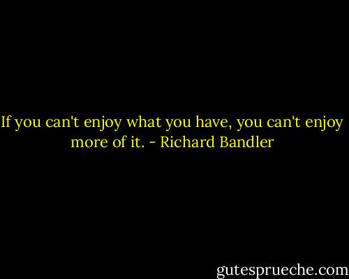 If you can't enjoy what you have, you can't enjoy more of it. - Richard Bandler
