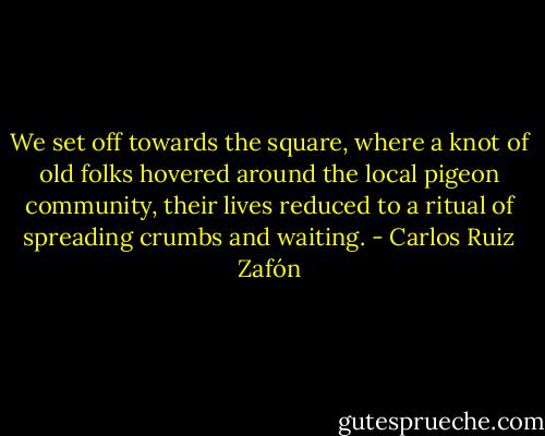 We set off towards the square, where a knot of old folks hovered around the local pigeon community, their lives reduced to a ritual of spreading crumbs and waiting. - Carlos Ruiz Zafón