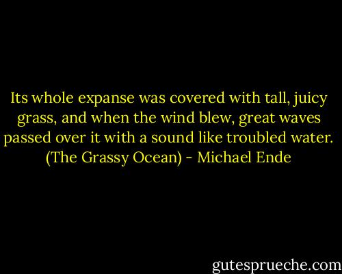 Its whole expanse was covered with tall, juicy grass, and when the wind blew, great waves passed over it with a sound like troubled water. (The Grassy Ocean) - Michael Ende