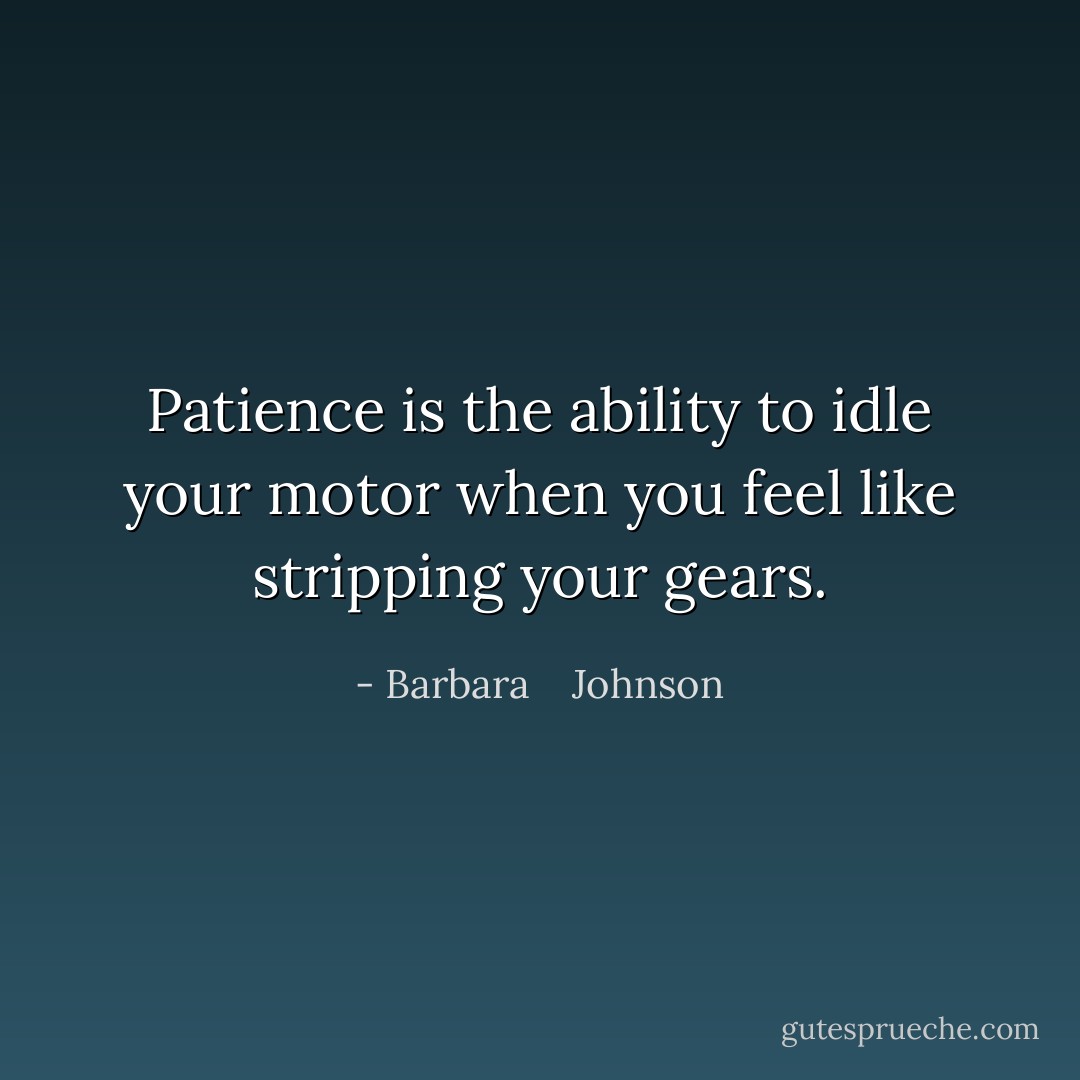 Patience is the ability to idle your motor when you feel like stripping your gears. - Barbara    Johnson
