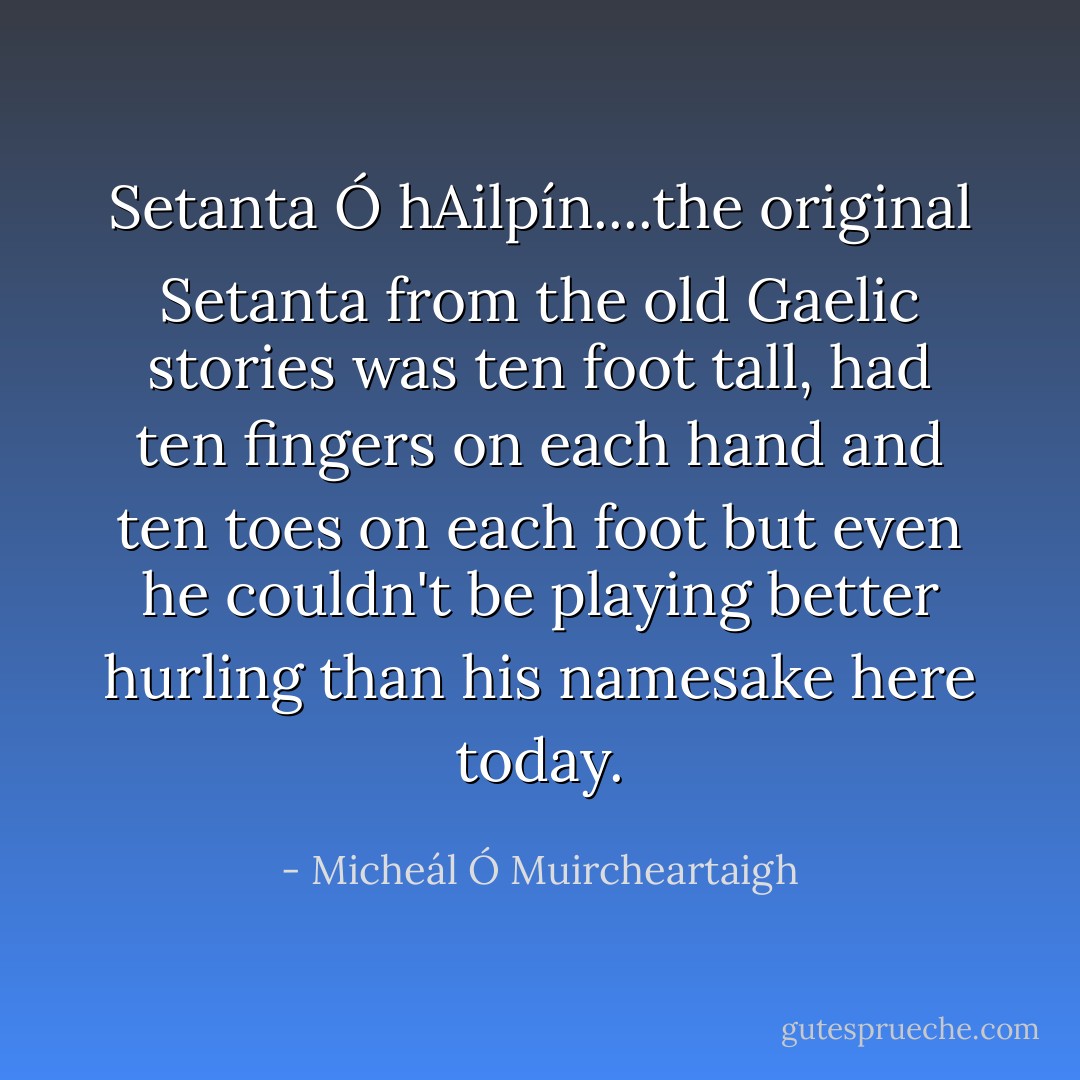 Setanta Ó hAilpín....the original Setanta from the old Gaelic stories was ten foot tall, had ten fingers on each hand and ten toes on each foot but even he couldn't be playing better hurling than his namesake here today. - Micheál Ó Muircheartaigh