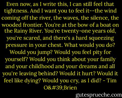 Even now, as I write this, I can still feel that tightness. And I want you to feel it--the wind coming off the river, the waves, the silence, the wooded frontier. You're at the bow of a boat on the Rainy River. You're twenty-one years old, you're scared, and there's a hard squeezing pressure in your chest.<br />What would you do?<br />Would you jump? Would you feel pity for yourself? Would you think about your family and your childhood and your dreams and all you're leaving behind? Would it hurt? Would it feel like dying? Would you cry, as I did? - Tim O'Brien