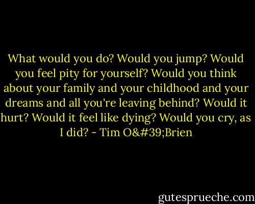 What would you do?<br />Would you jump? Would you feel pity for yourself? Would you think about your family and your childhood and your dreams and all you're leaving behind? Would it hurt? Would it feel like dying? Would you cry, as I did? - Tim O'Brien