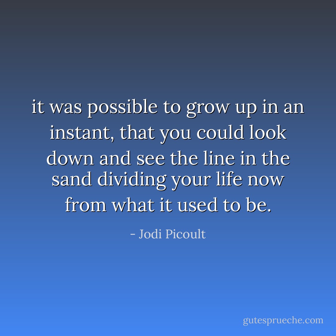 it was possible to grow up in an instant, that you could look down and see the line in the sand dividing your life now from what it used to be. - Jodi Picoult
