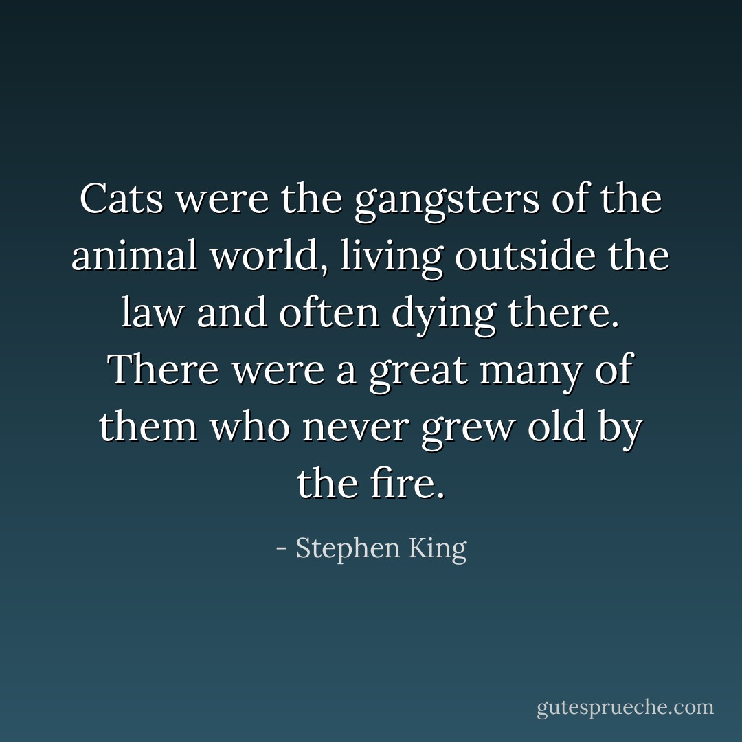 Cats were the gangsters of the animal world, living outside the law and often dying there. There were a great many of them who never grew old by the fire. - Stephen King