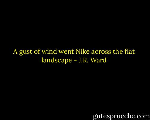 A gust of wind went Nike across the flat landscape - J.R. Ward