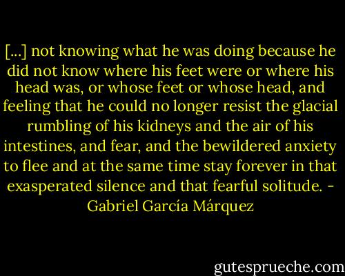 [...] not knowing what he was doing because he did not know where his feet were or where his head was, or whose feet or whose head, and feeling that he could no longer resist the glacial rumbling of his kidneys and the air of his intestines, and fear, and the bewildered anxiety to flee and at the same time stay forever in that exasperated silence and that fearful solitude. - Gabriel García Márquez