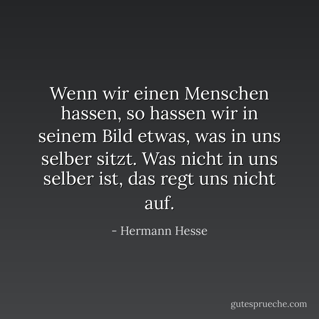 Wenn wir einen Menschen hassen, so hassen wir in seinem Bild etwas, was in uns selber sitzt. Was nicht in uns selber ist, das regt uns nicht auf. - Hermann Hesse